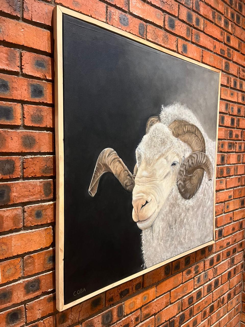MERINO RAM