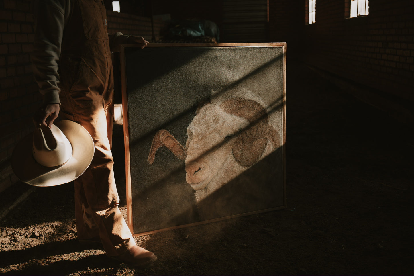 MERINO RAM